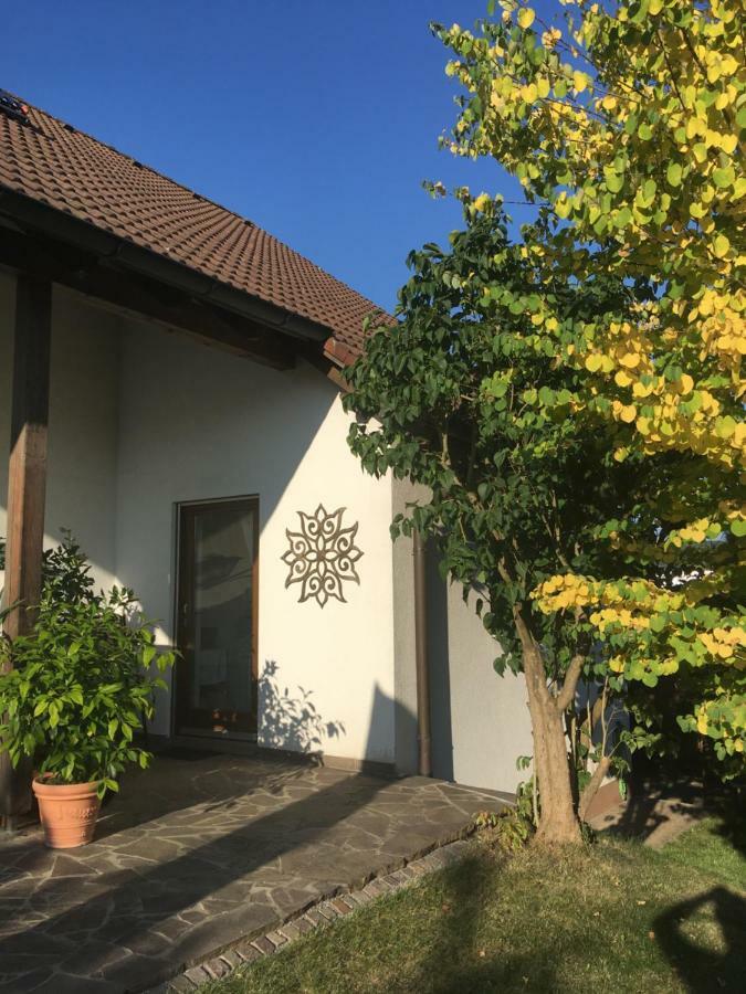 נוימרקט אין דר אוברפפלץ Apartment Am Stadtpark מראה חיצוני תמונה